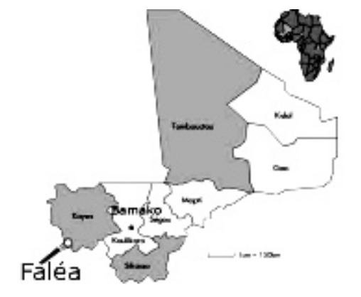 La commune de Faléa, frontalière du Sénégal et de la Guinée, est située au sud­ouest du Mali dans la région de Kayes.